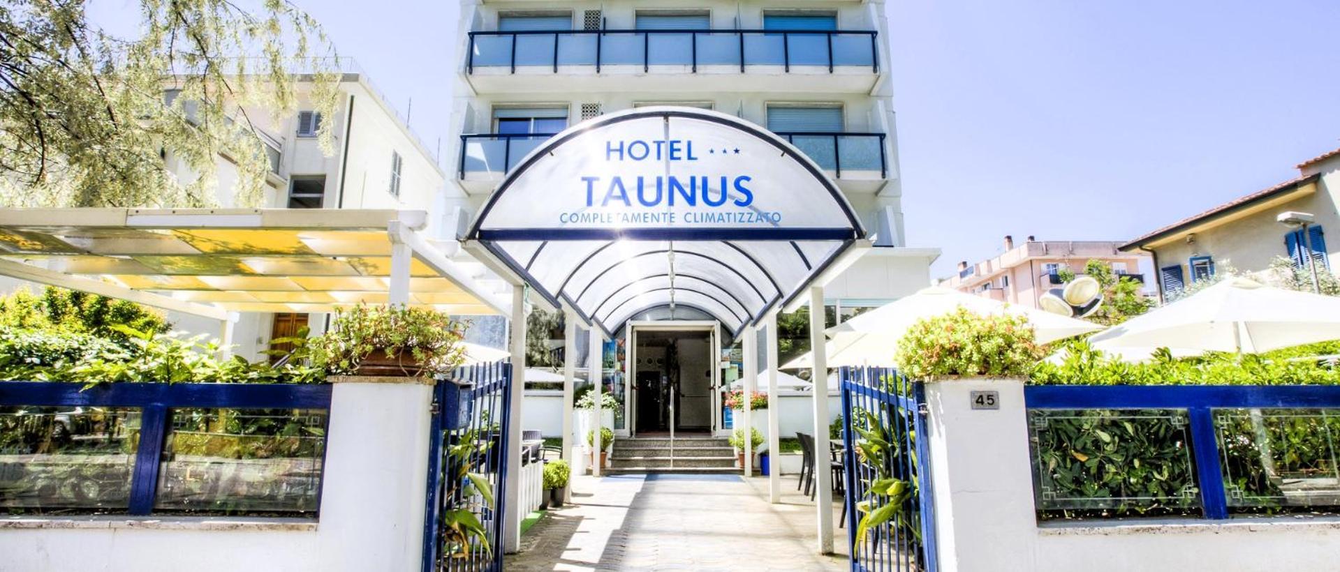 Hotel Taunus - Vista Mare リッチョーネ エクステリア 写真